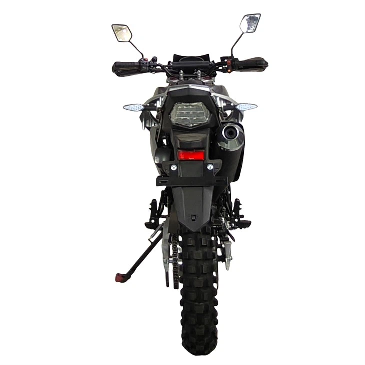 R-LD12 300cc Off Road Bike factory